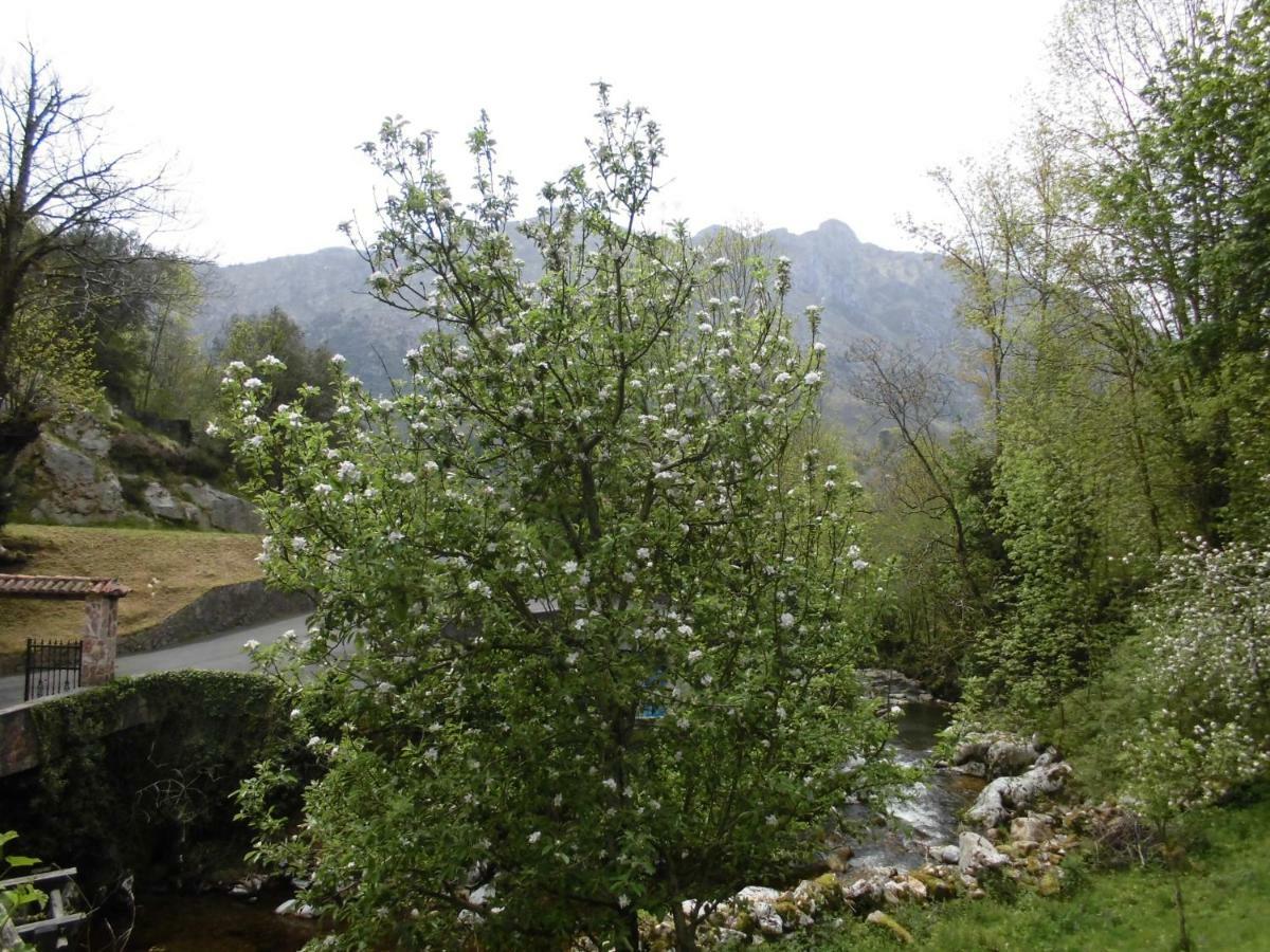 El Molino Hotel Arenas De Cabrales Kültér fotó