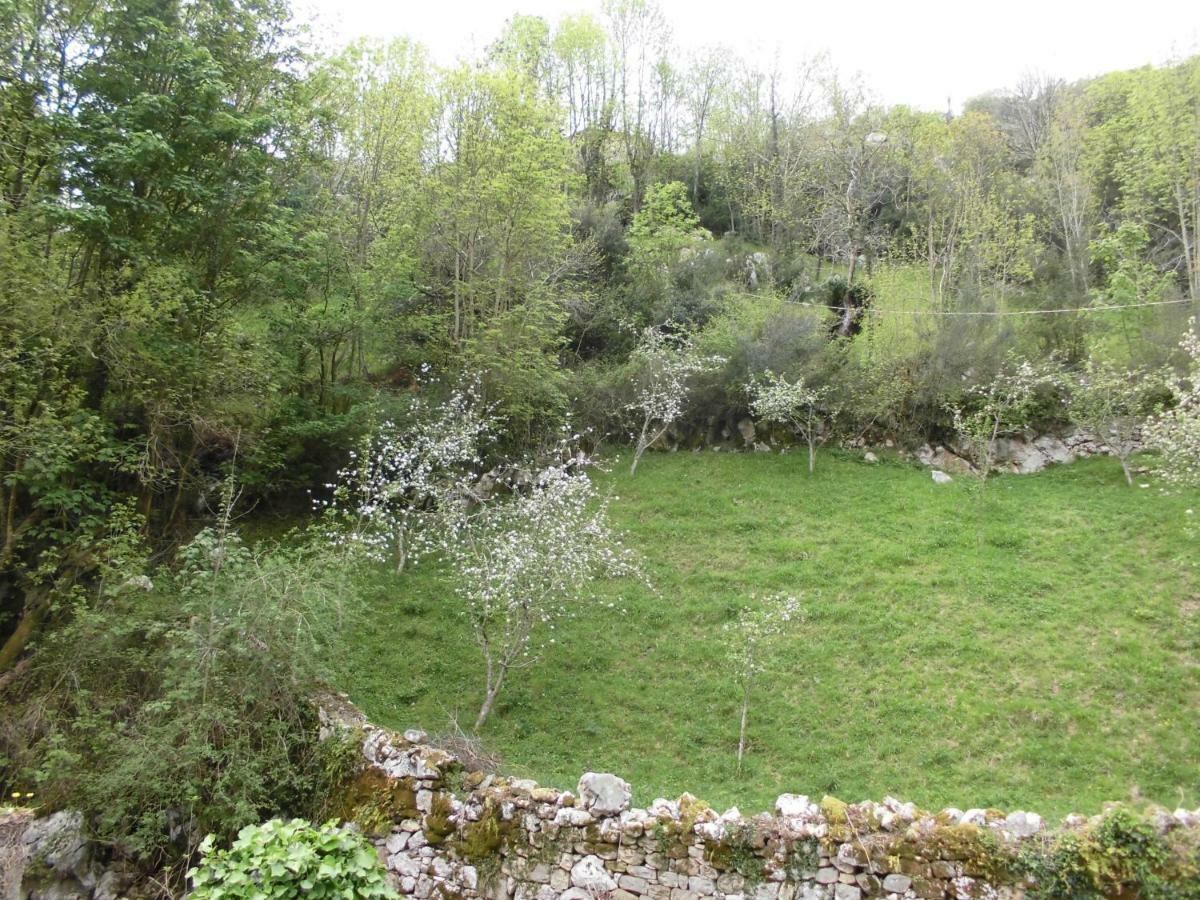 El Molino Hotel Arenas De Cabrales Kültér fotó