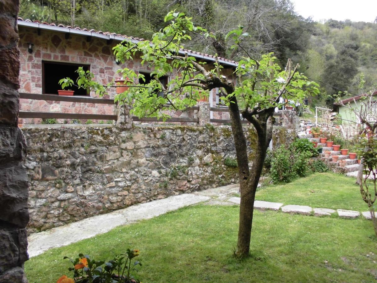 El Molino Hotel Arenas De Cabrales Kültér fotó