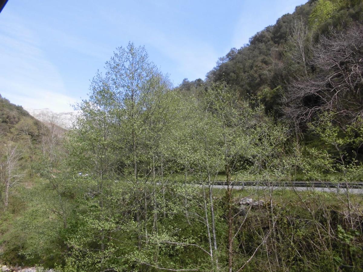 El Molino Hotel Arenas De Cabrales Kültér fotó