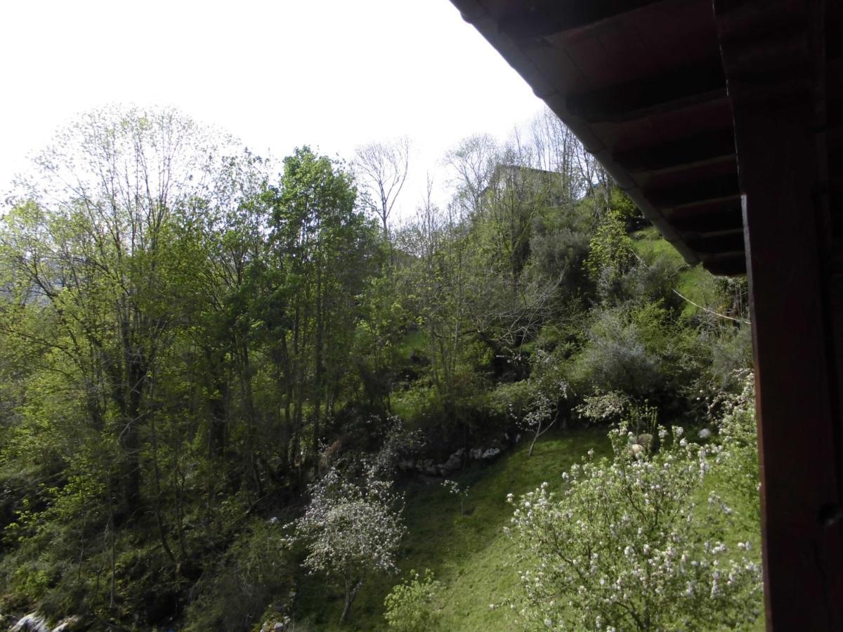 El Molino Hotel Arenas De Cabrales Kültér fotó